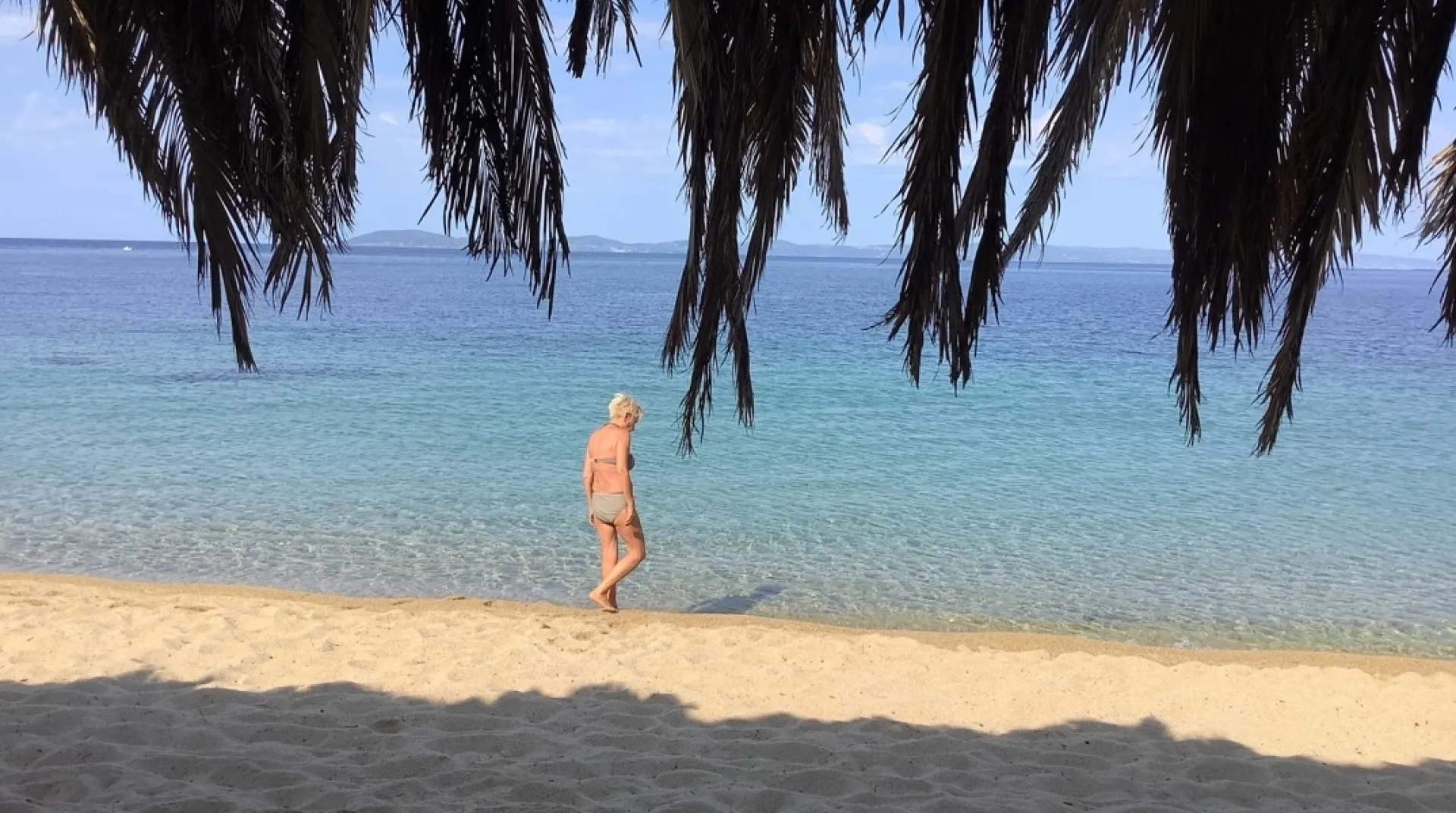 © Στέφανος Τσιτσόπουλος